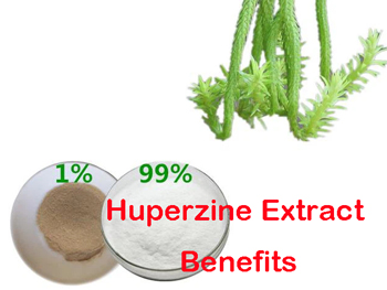 What Is Huperzine Extract Good For?
